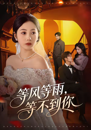 等风等雨，等不到你（65集）短剧更新抢先看