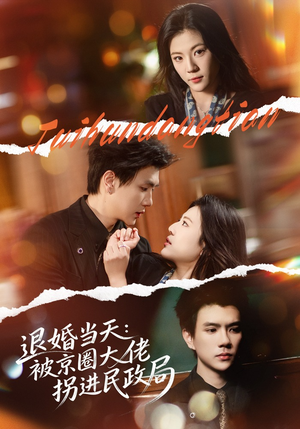 退婚当天:被京圈大佬拐进民政局(80集) 退婚当天:被京圈大佬拐进民政局(80集)热播短剧追不停