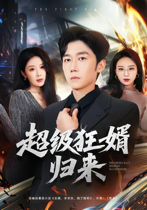 超级狂婿归来（81集）独家短剧免费看