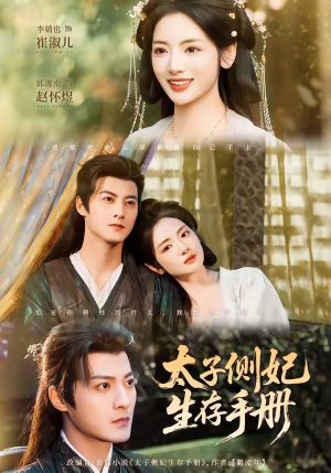 太子侧妃生存手册（63集）好看的短剧分享