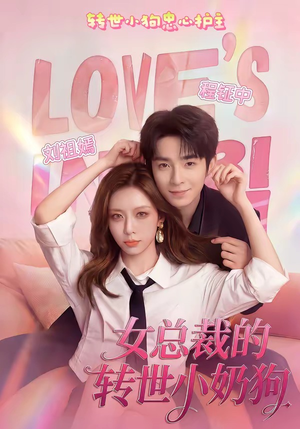 女总裁的转世小奶狗（30集）评价怎么样