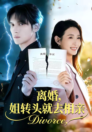 离婚，姐转头就去相亲（80集）1-102集