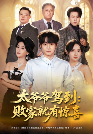 太爷爷驾到：败家就有惊喜封面