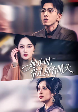她走时，带走所有晴天封面