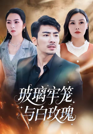 玻璃牢笼与白玫瑰封面