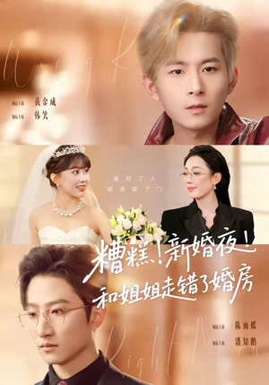 糟糕新婚夜和姐姐走错了婚房封面