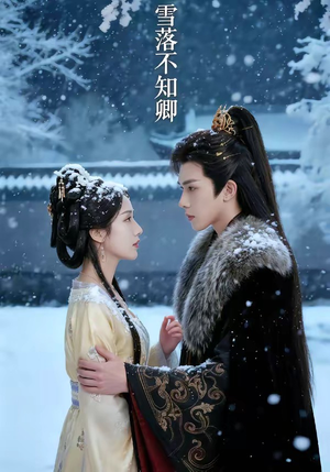 雪落不知卿封面