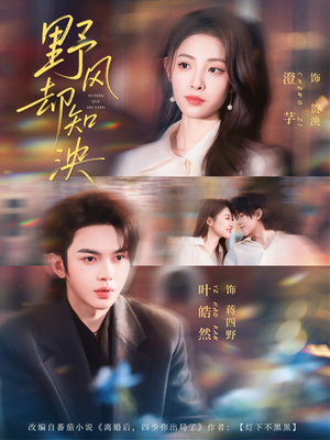 野风却知泱封面