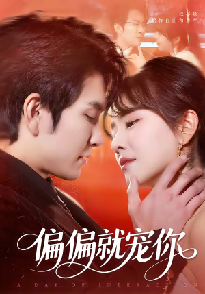偏偏就宠你封面