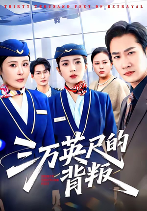 三万英尺的背叛封面