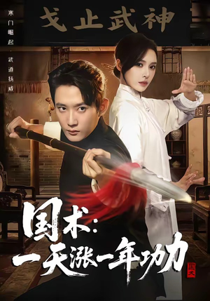国术，一天涨一年功力封面