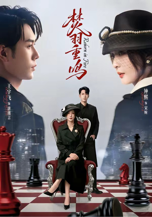 焚羽重鸣（60集）超好看古装短剧