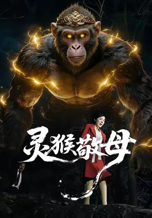 灵猴敬母（50集）评价怎么样