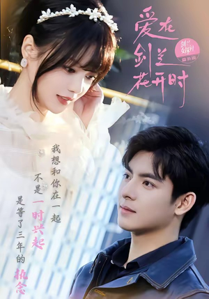 爱在剑兰花开时（56集）精彩好看的短剧