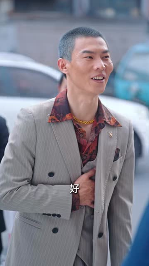 乡野技师：靠一双手征服大老卷（80集）一个短剧看全集