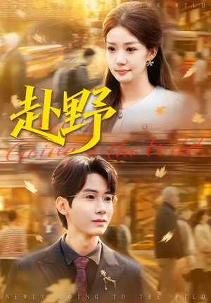 赴野（40集）短剧热播推荐