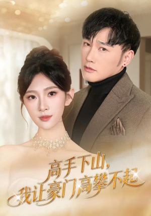 高手下山，我让豪门高攀不起封面