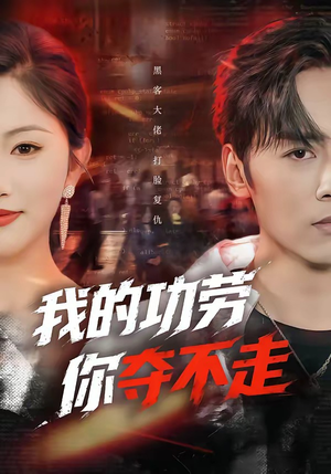 我的功劳，你夺不走封面