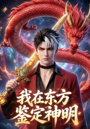 我在东方鉴定神明封面
