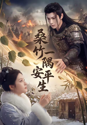 桑竹一隅安平生封面