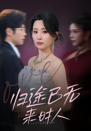 归途已无来时人封面