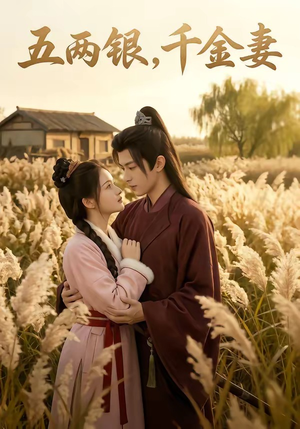 五两银，千金妻封面