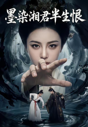 墨染湘君半生恨封面