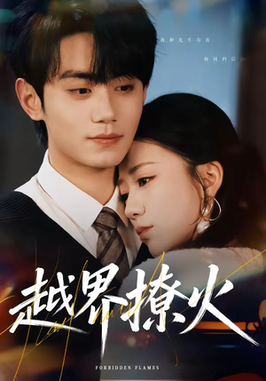 越界撩火封面