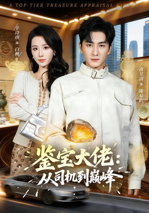 鉴宝大佬： 从司机到巅峰封面