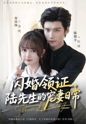 闪婚领证，陆先生的宠妻日常封面