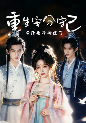 重生安分守己封面