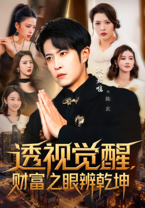 透视觉醒，财富之眼辨乾坤封面