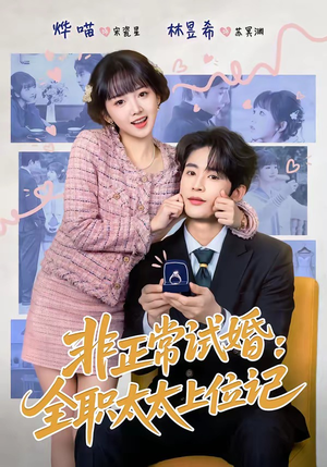 非正常试婚：全职太太上位记封面