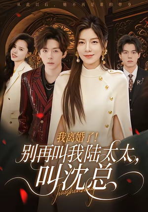 我离婚了！别再叫我陆太太，叫沈总封面