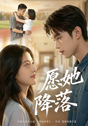 愿她降落封面