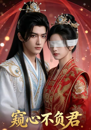 窥心不负君封面