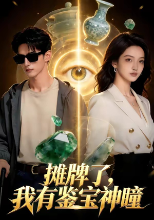 摊牌了，我有鉴宝神瞳封面