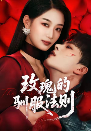 玫瑰的驯服法则（65集）80到100集