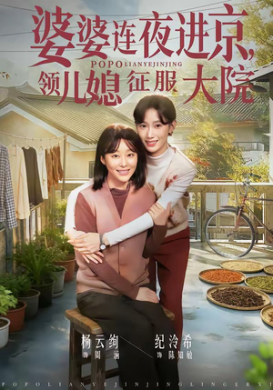 婆婆连夜进京，领儿媳征服大院封面