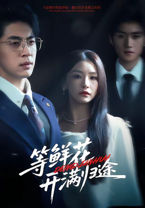 等鲜花开满归途（61集）热门短剧追到爽