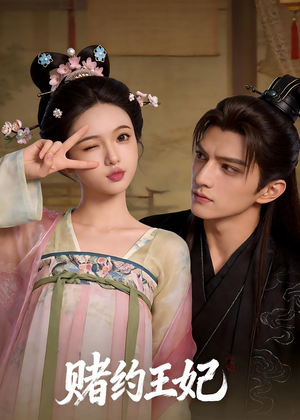 赌约王妃封面