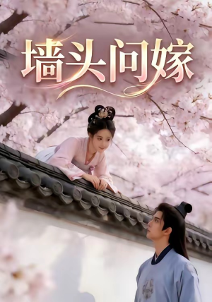 墙头问嫁（29集）精彩短剧随心推