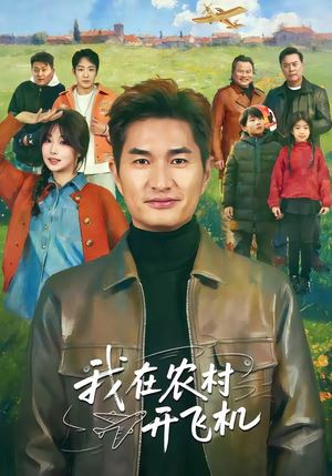 我在农村开飞机封面