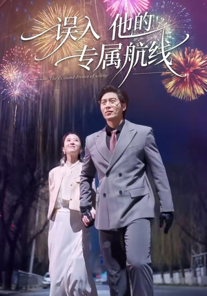 误入他的专属航线封面