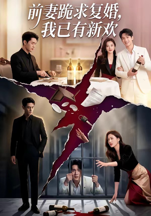 前妻跪求复婚，我已有新欢封面
