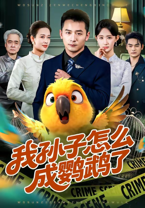 我孙子怎么成鹦鹉了封面
