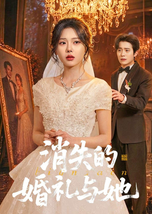 消失的婚礼与她封面