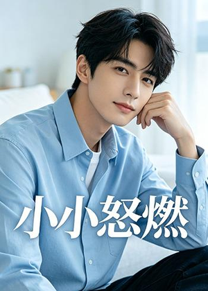 小小怒燃封面