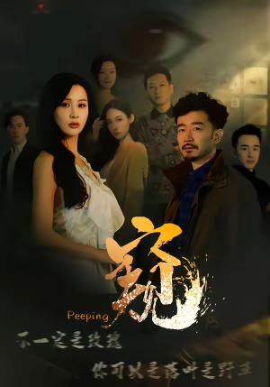 窥伺封面