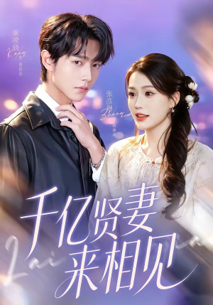 千亿贤妻来相见封面